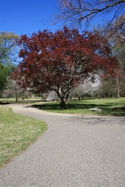 Memphis Botanic Gardens