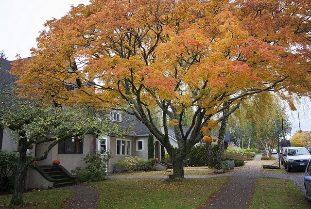 10 leaf raking tips no one ever taught you