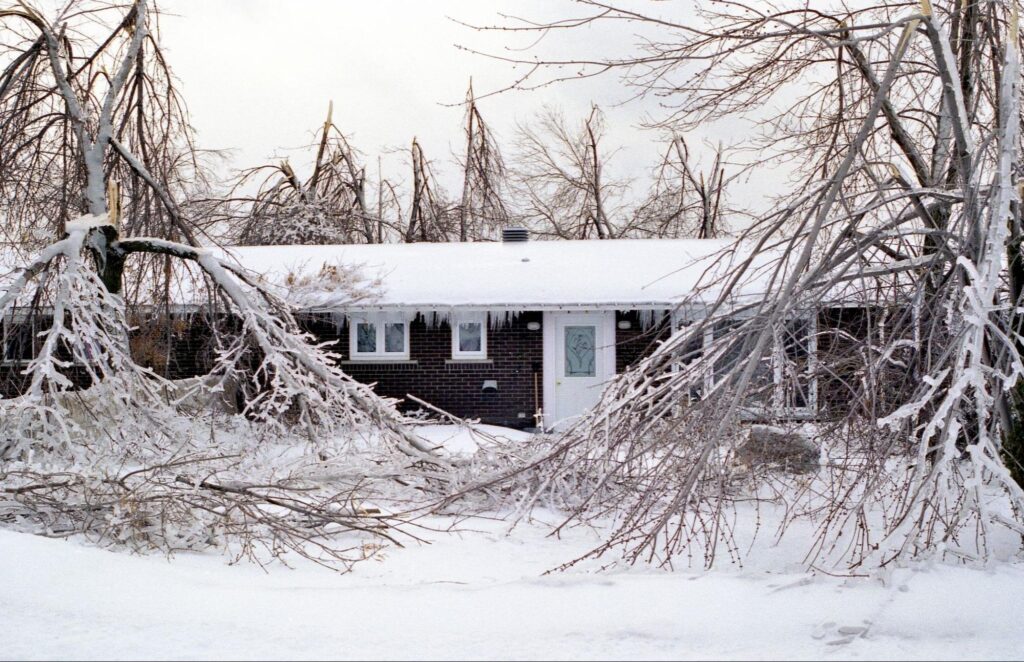 How Ice Storms Affect Your Trees