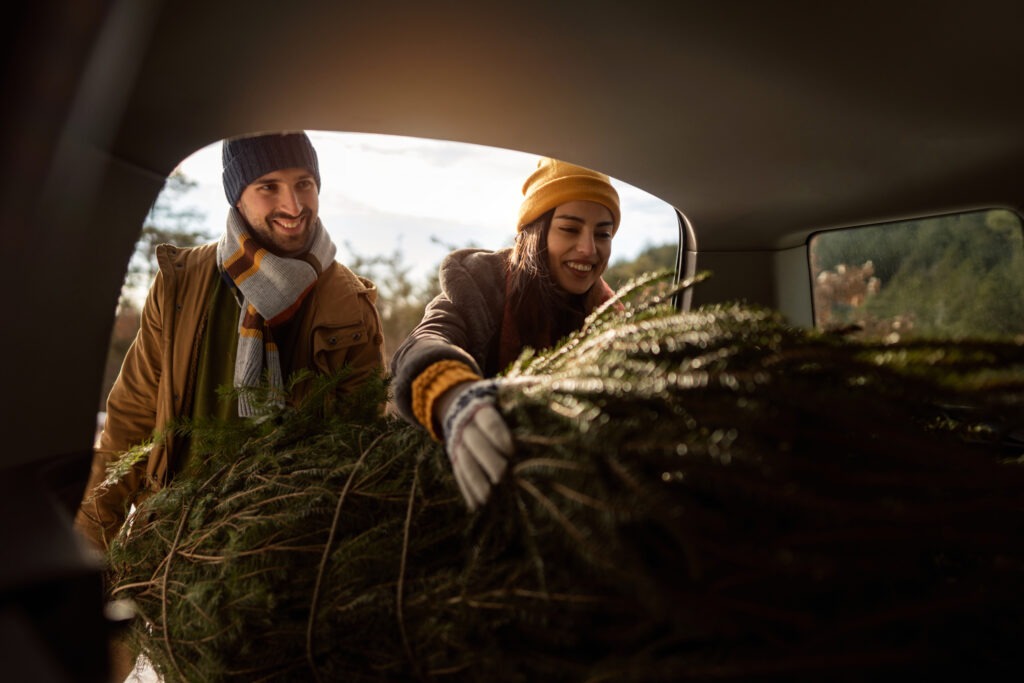 Pros and Cons of Buying a Real Christmas Tree