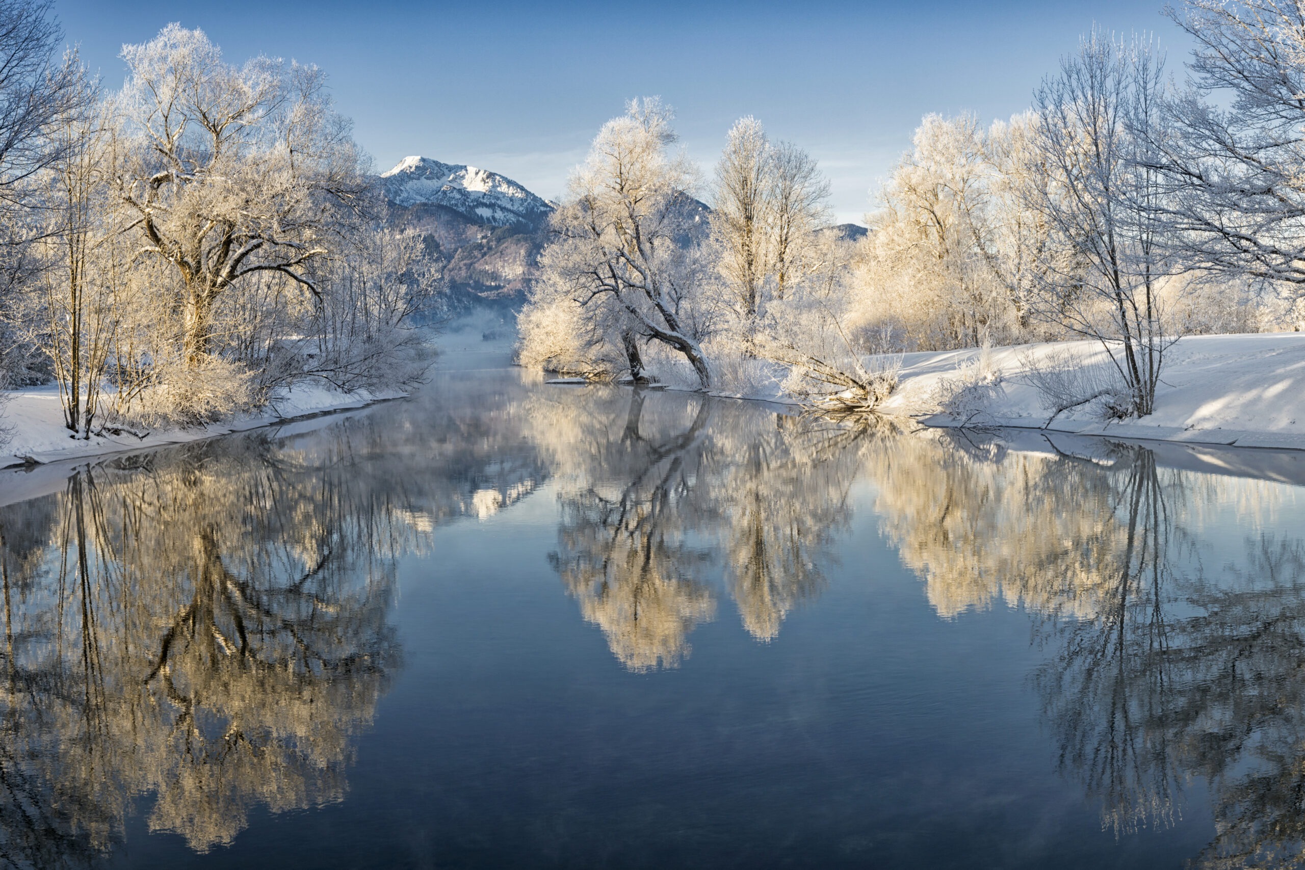 What Are the Most Common Tree Hazards in the Winter?