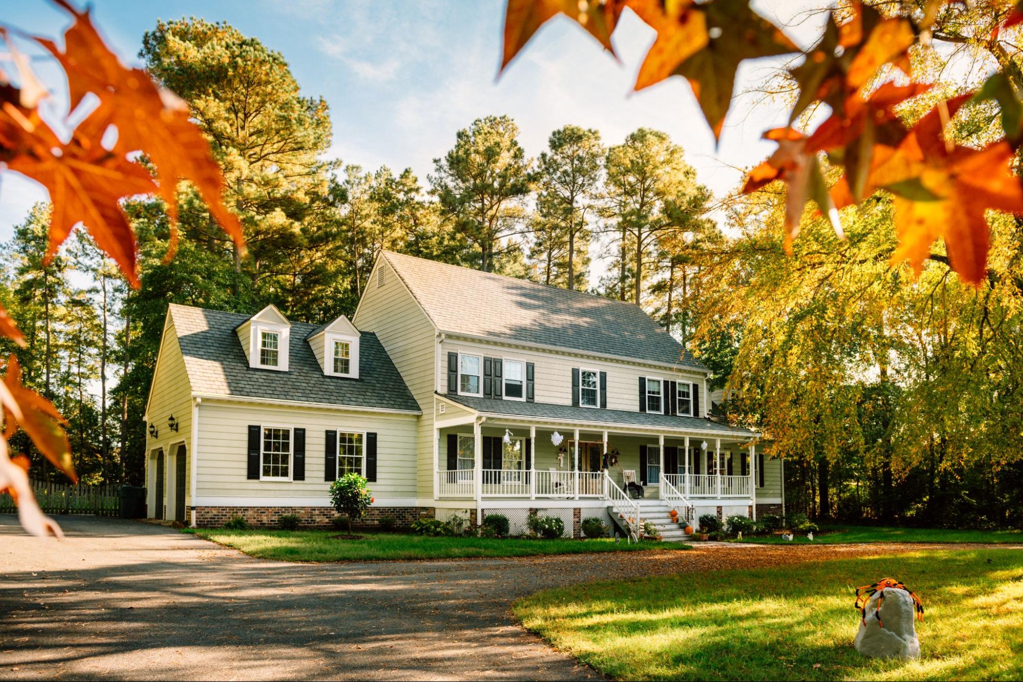 How Can Proper Tree Care Increase the Value of Your Property?
