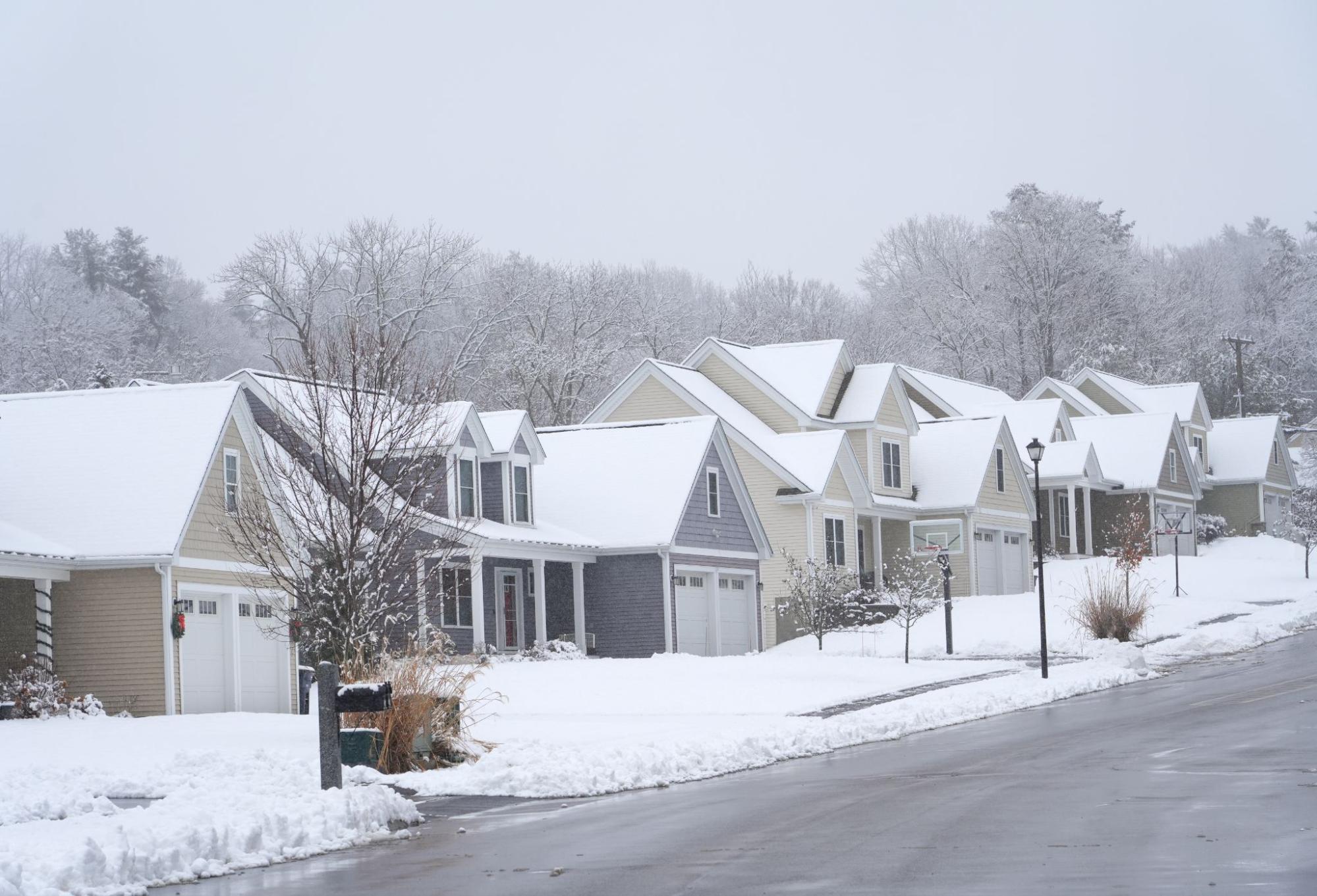 Winter Tree Care in Memphis: Protecting Your Landscape During the Cold Months