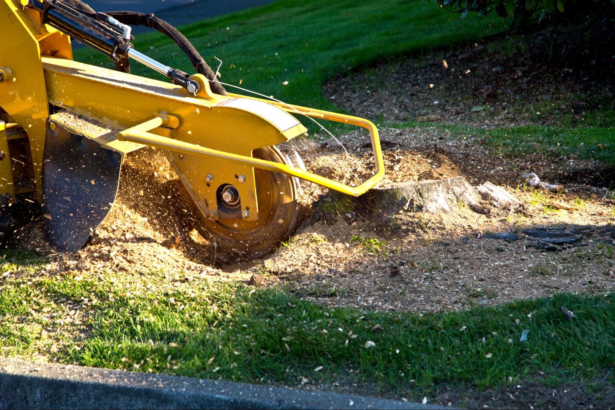 Memphis Tree Stump Removal