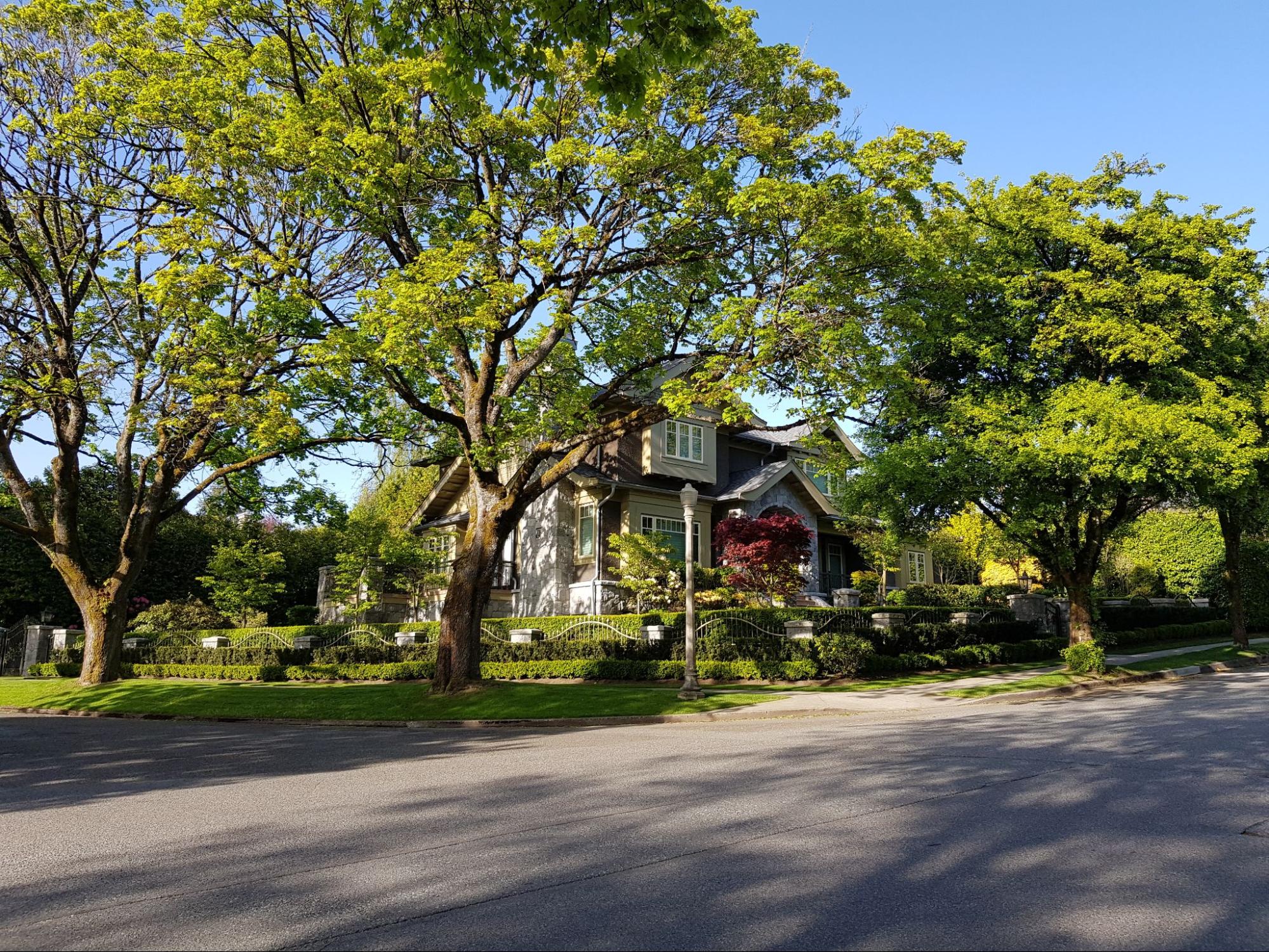 Large mature shade trees with full green canopies hanging over a two-story home and front lawn, the kind of residential property Red’s Tree Service handles for Memphis tree removal service